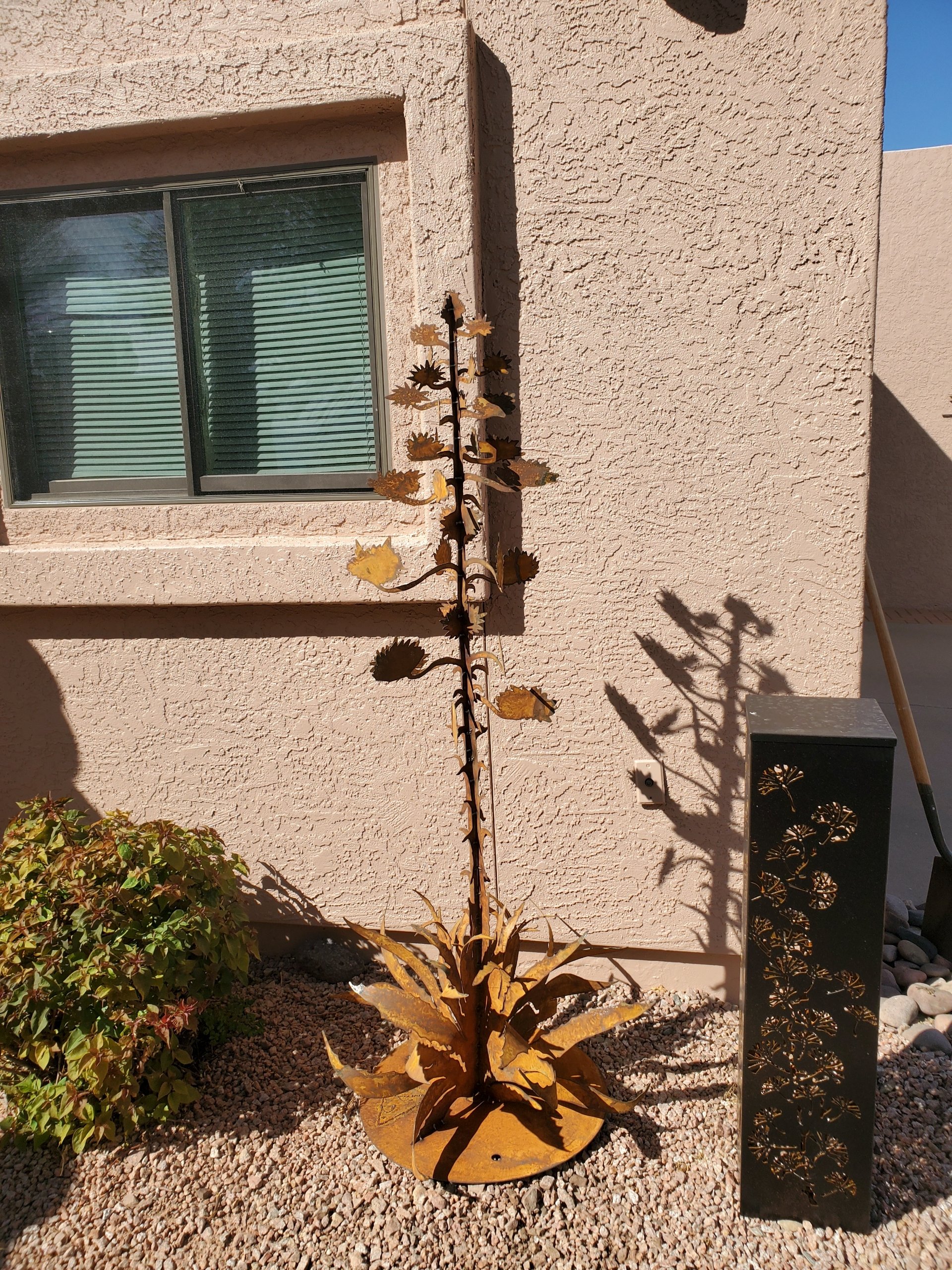 Resized_20221102_110941.jpeg