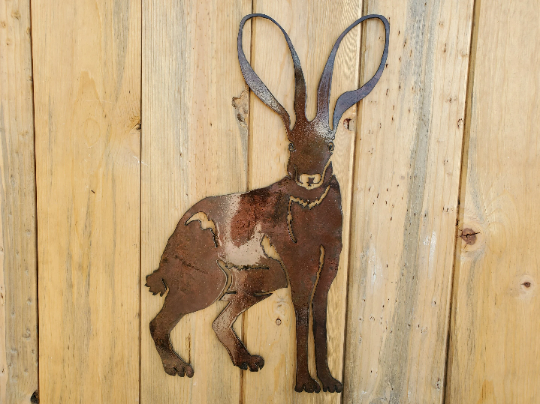Iron Jack Rabbit Desert Hare 1.png