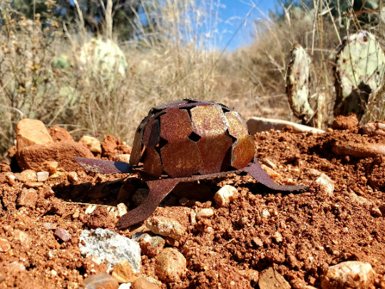 Iron Desert Tortoise 3D Mini 2.png
