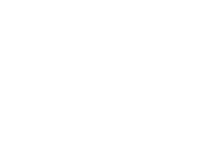 logo-SSE.png