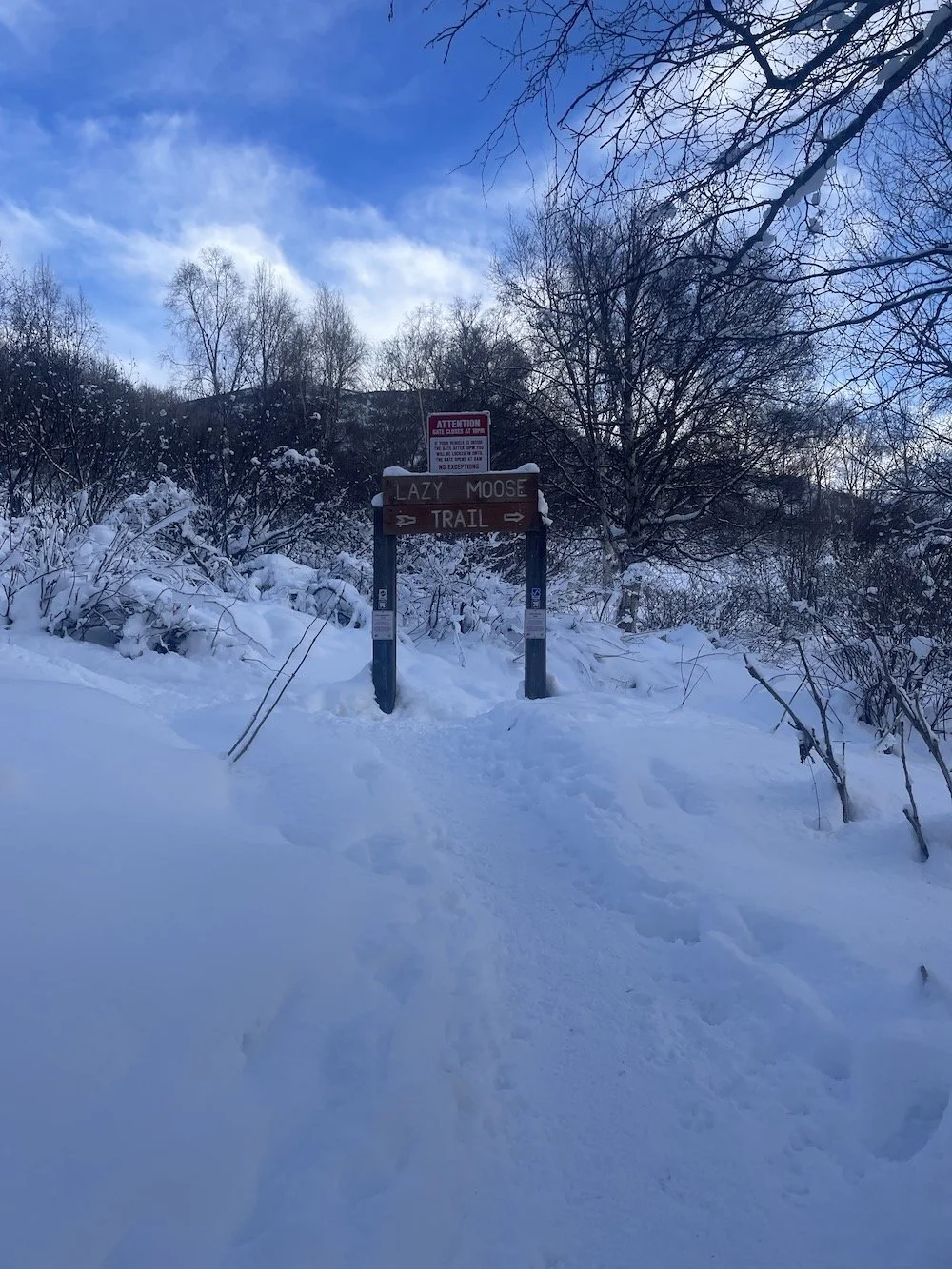 Lazy Moose Signage.JPG