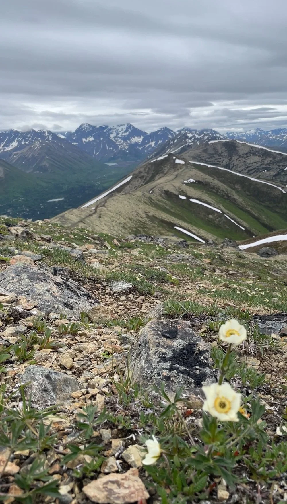 Rendezvous Peak.jpeg