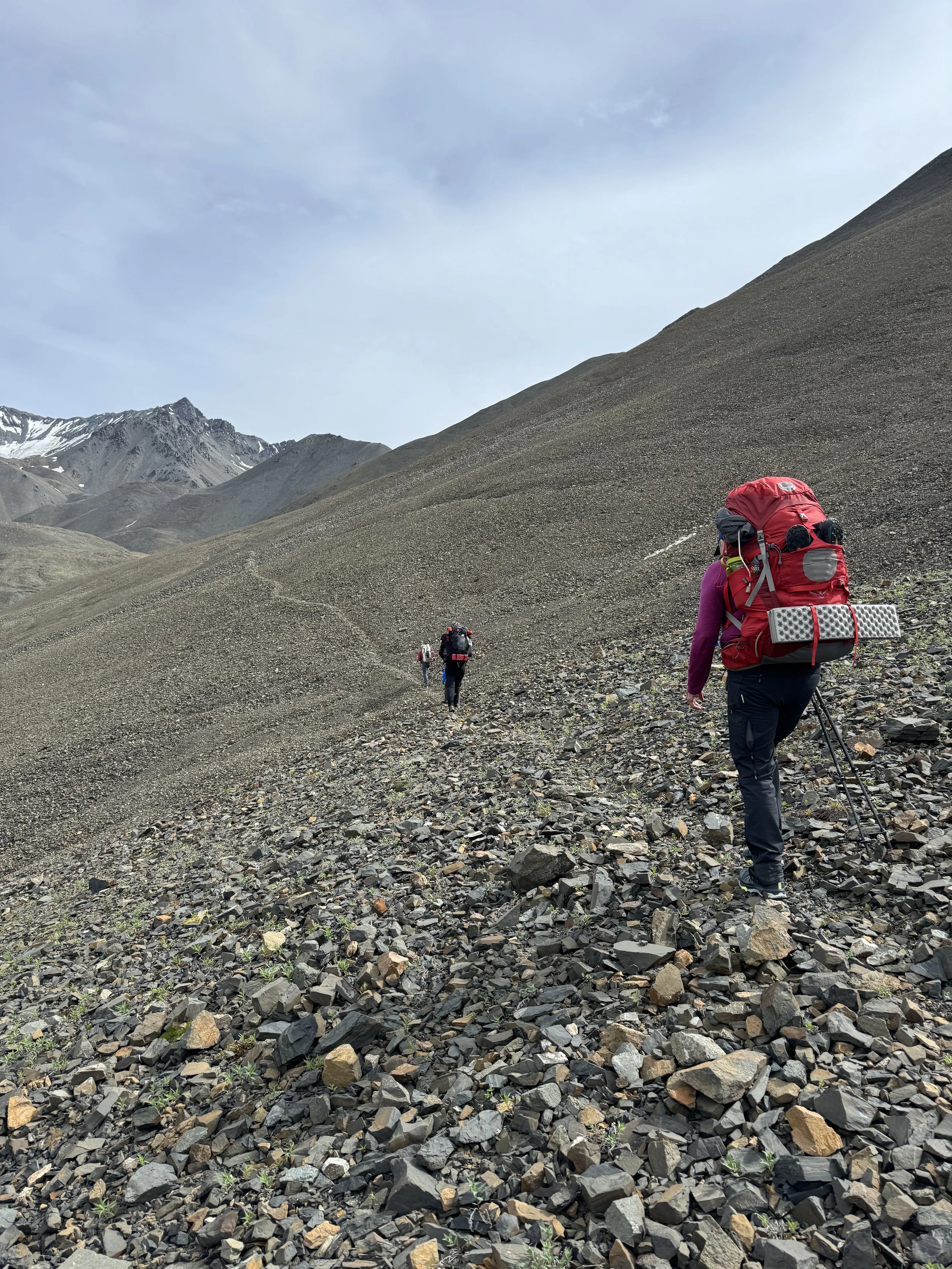Backpackers climb in Wrangell St. Elias National Park