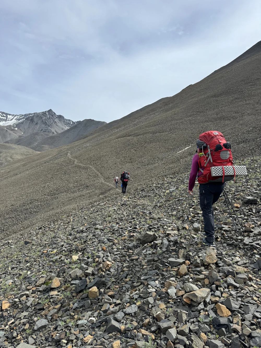 Backpackers climb in Wrangell St. Elias National Park