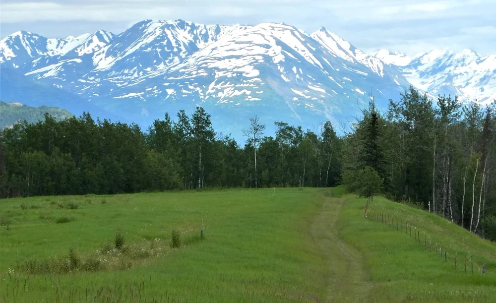 Matanuska Greenbelt trails offer a variety of open expanses and wooded areas