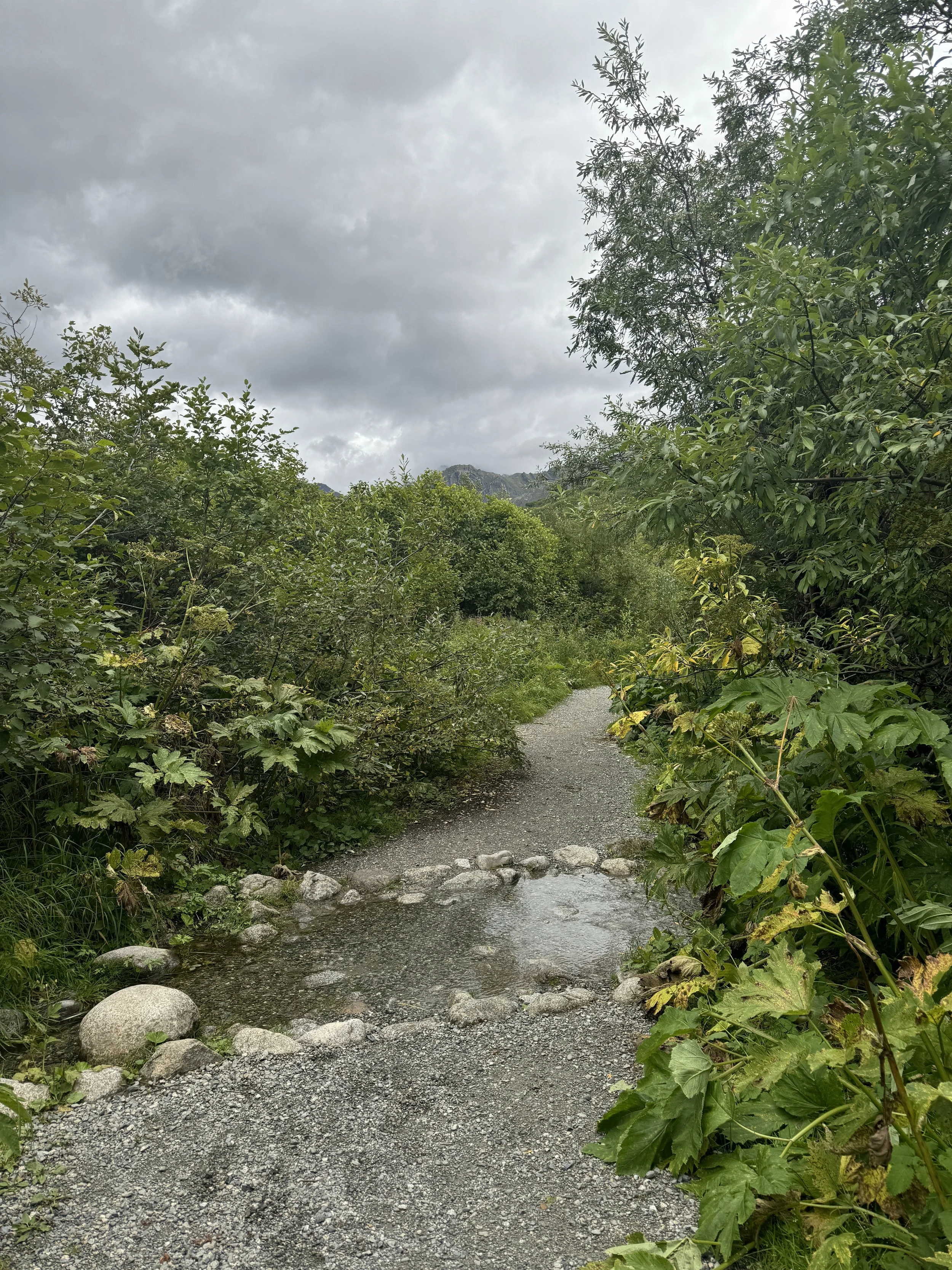 The Gold Mint trail is maintained by Alaska State Parks