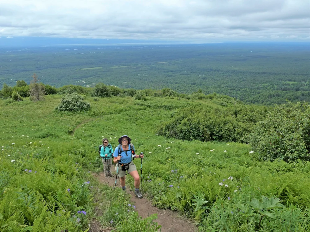 Hiking Blueberry Knoll