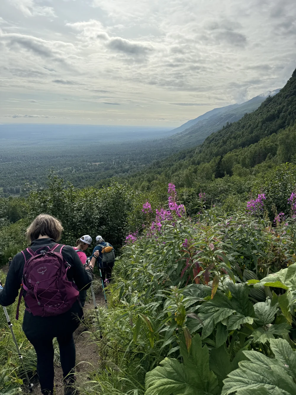 Hikers descend the Blueberry Knoll Trail