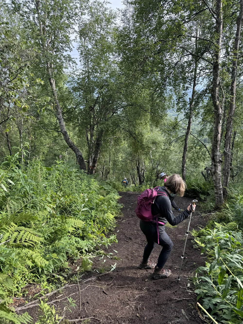 Sections of the Blueberry Knoll trail are rooty and steep (Copy)