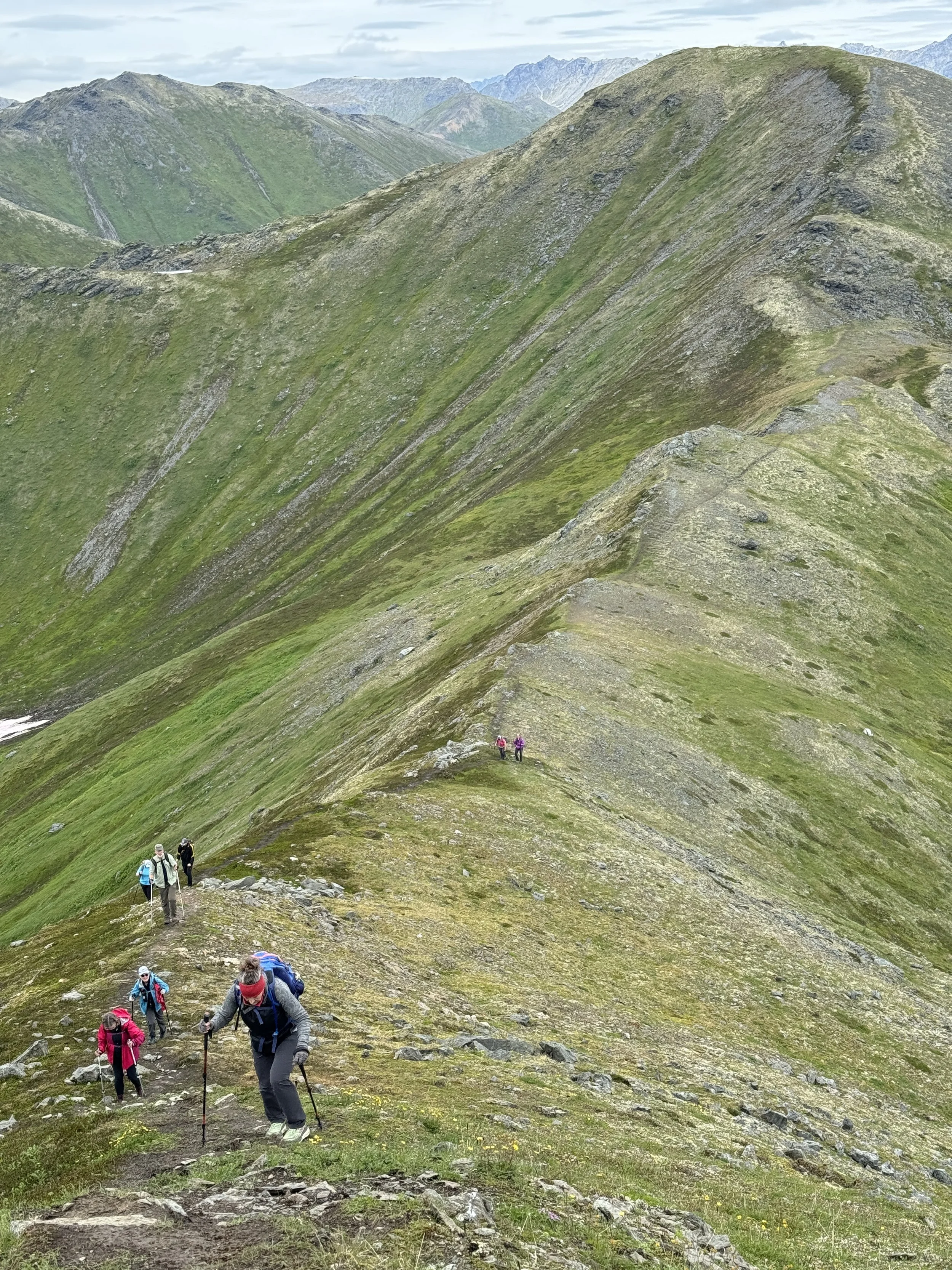 Precarious Ridge Lines traversing April Bowl to Government PEak.JPG
