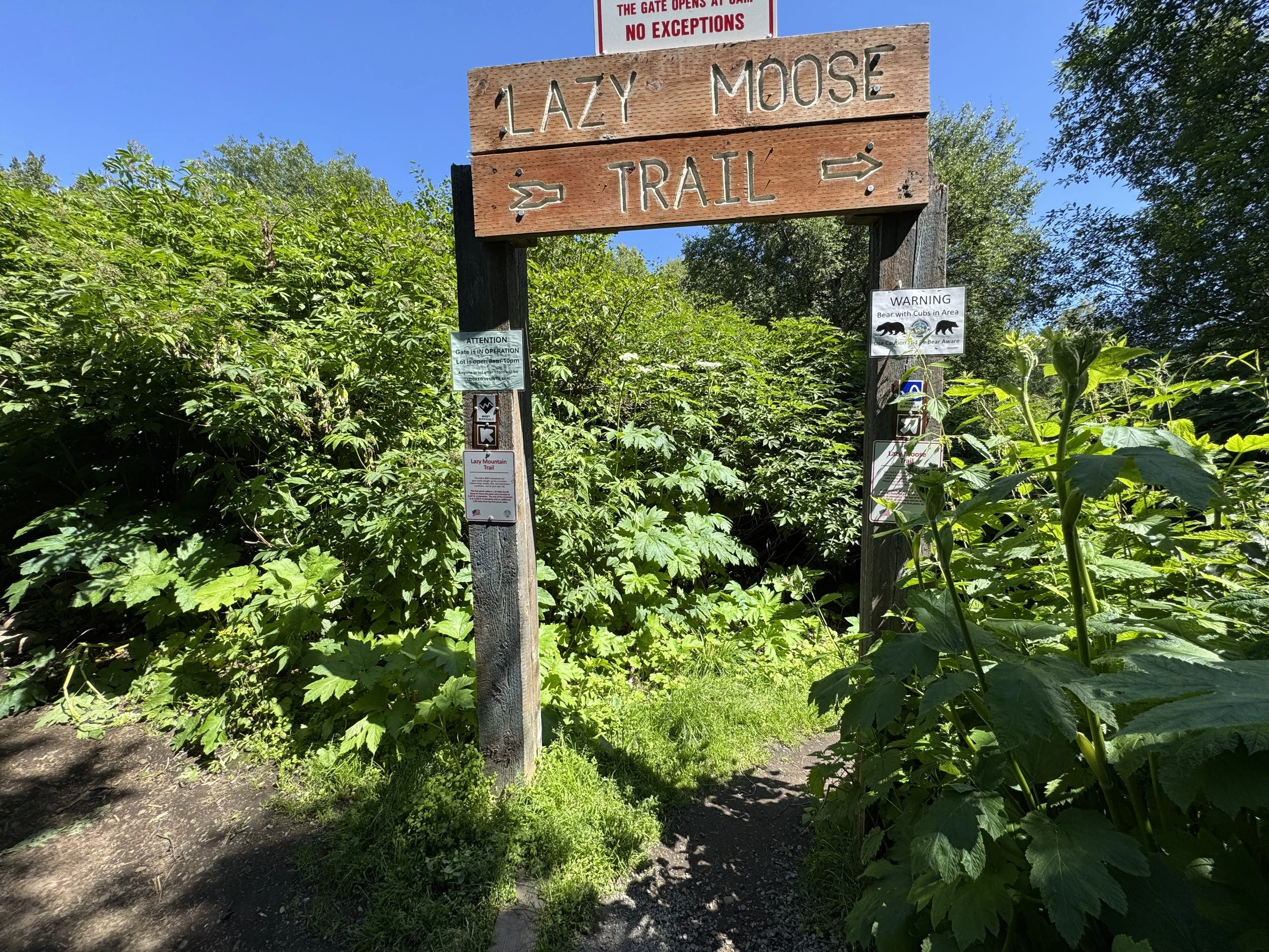 Hikers choose early on between the steep side and the Lazy Moose trail