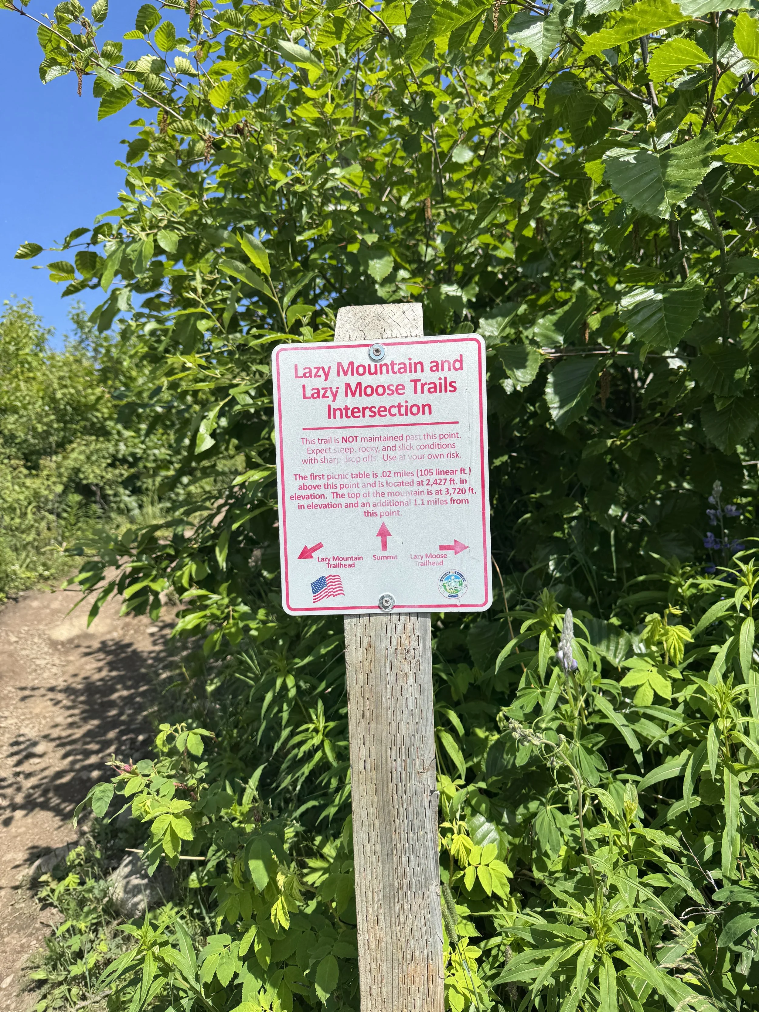 Signage and a subsequent picnic table mark the intersection of the steep and Lazy Moose trails