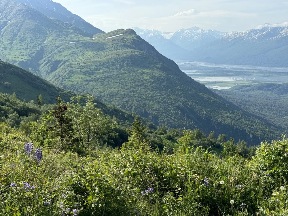 The Lazy Moose side has consistent views towards the Knik River and Chugach Mountains