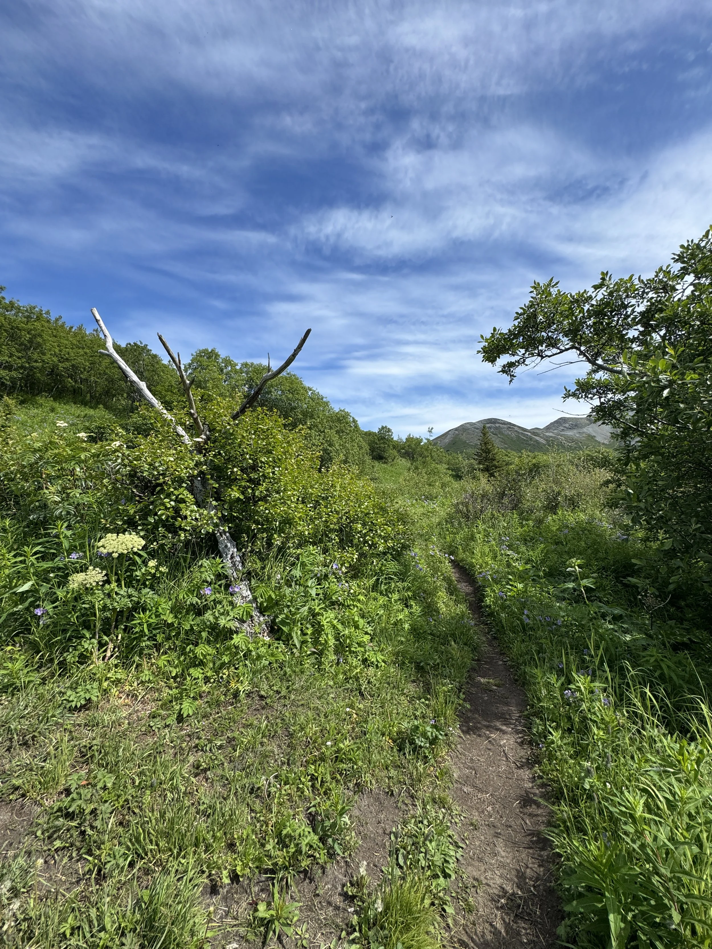 A wooden tripod marks the Matanuska Peak/Lazy Route intersection