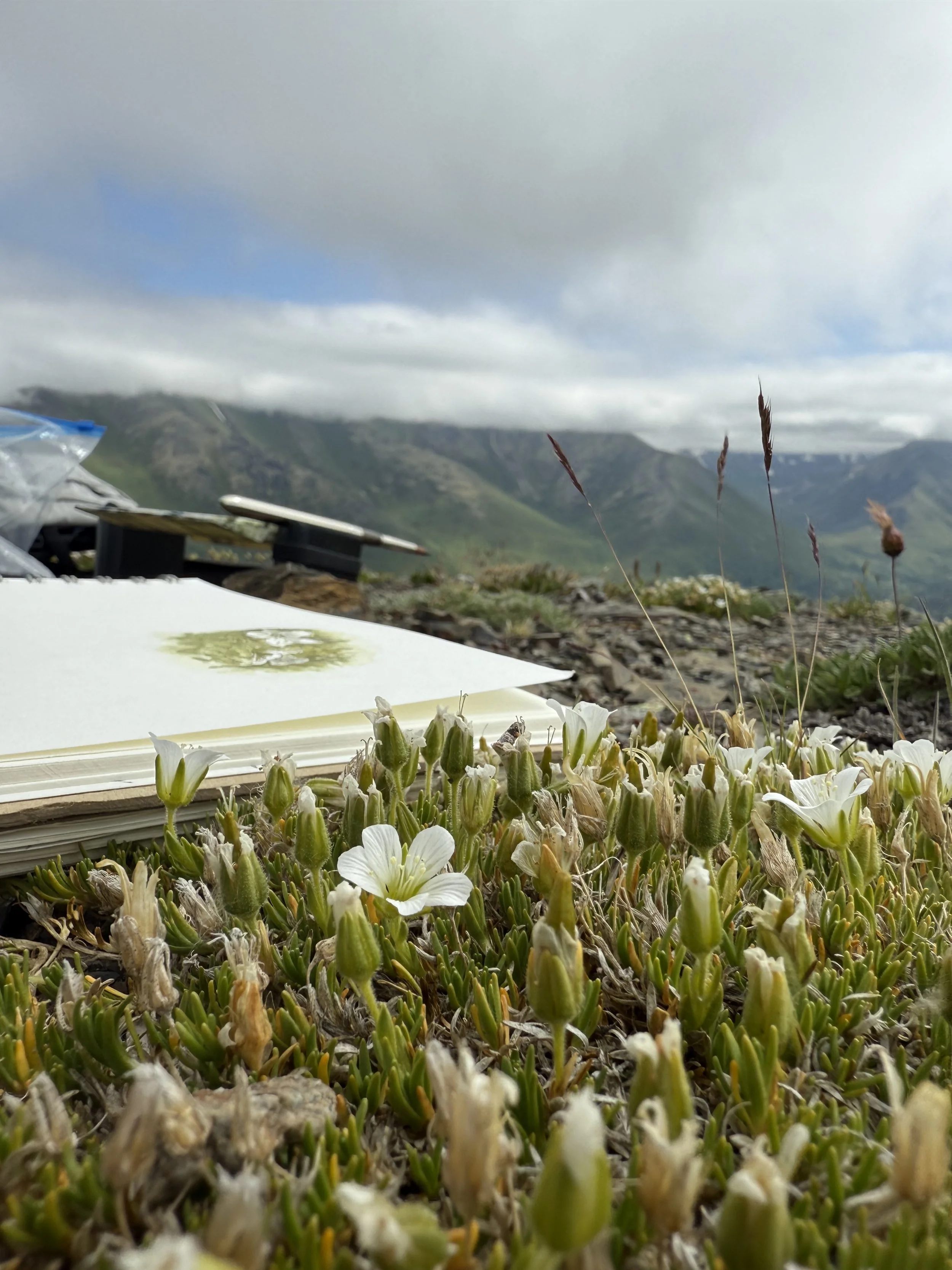 Hike and Paint on the Butte!