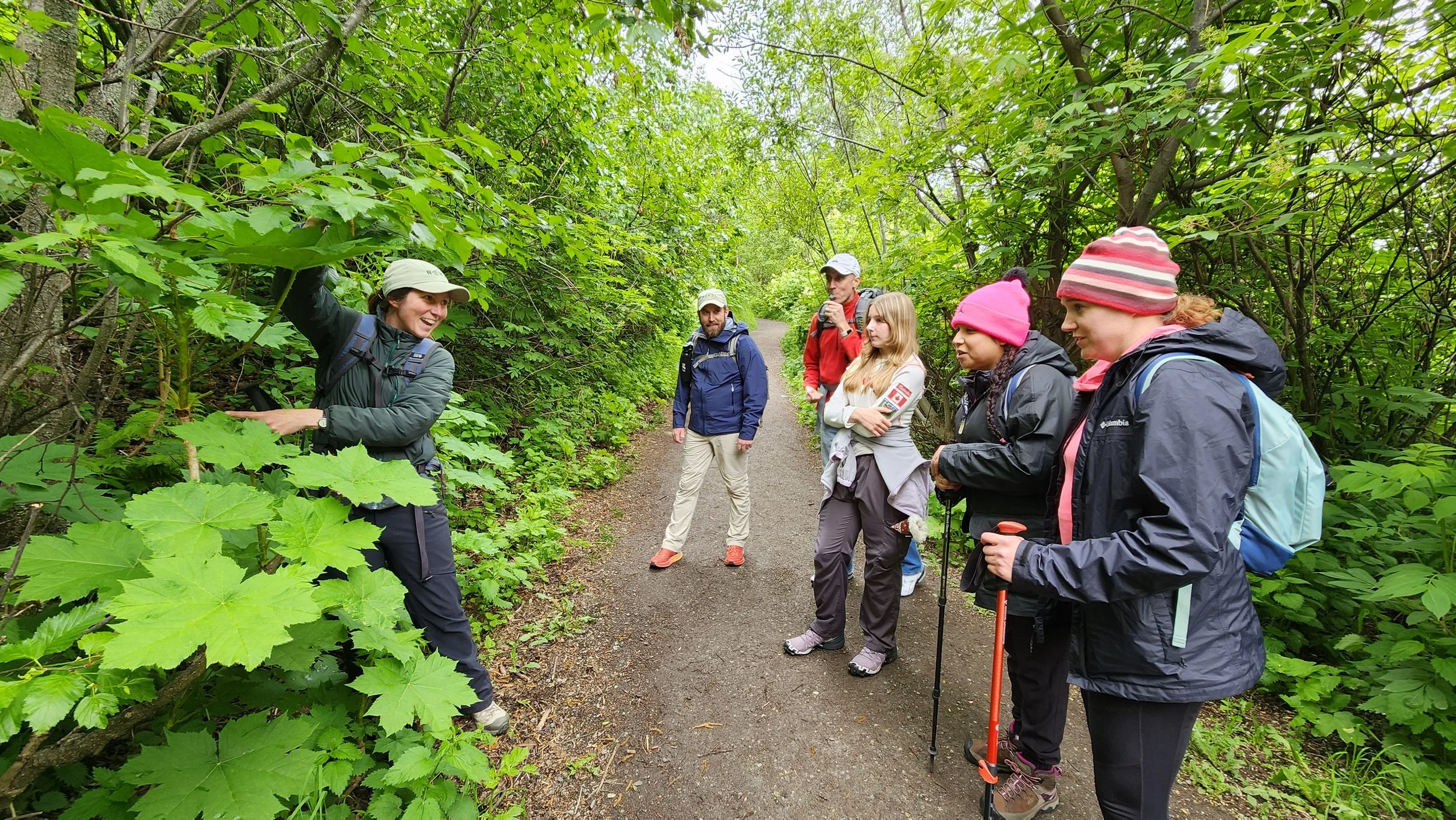 Summer hiking in Palmer.