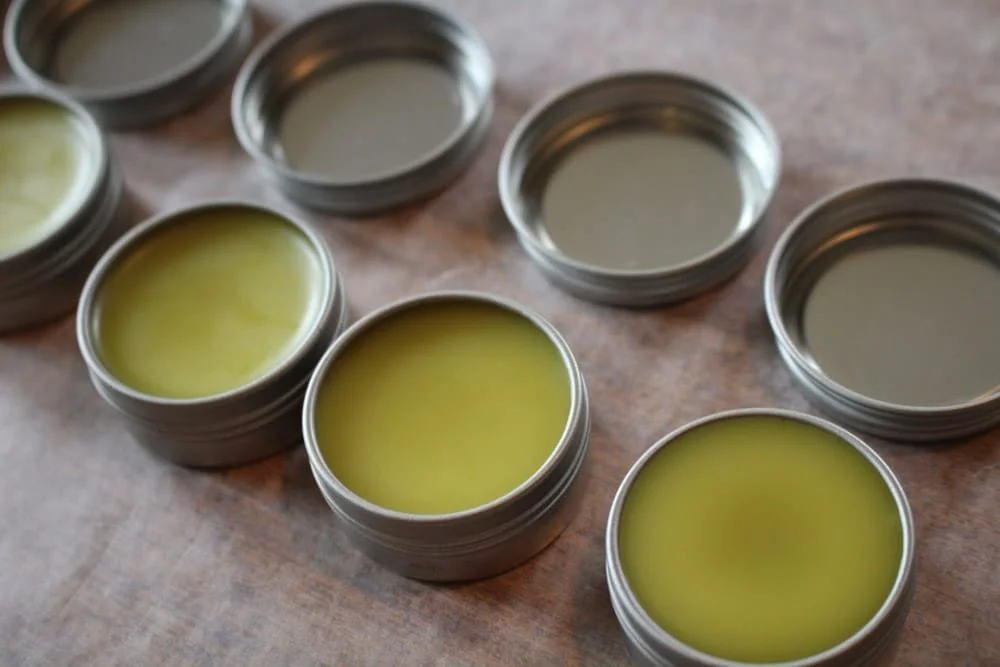 Coming March 8: Cottonwood Salve Making: An Outdoor Workshop. Details and registration: reveltreksandtours.com/events⁠
⁠
#alaskalife #alaskaoutdoors #reveladventureclub
