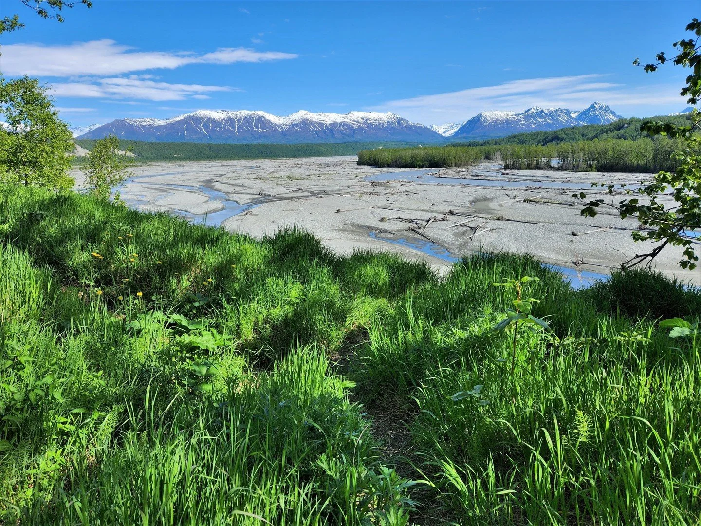 Weekend Ramble: Matanuska River Trail⁠
⁠
This Saturday, May 9! Hike beside the Matanuska River on a wide gravel trail. Excellent views of Lazy Mountain and Matanuska Peak!⁠
⁠
Details and sign-up: reveltreksandtours.com. Click the "Locals" t