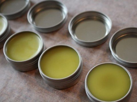 Coming up May 23: Devil&rsquo;s Club Salve Making: An Outdoor Workshop⁠
⁠
🌵Learn the basics of salve-making, and take home a 2 oz container of devil's club salve.⁠
⁠
Includes a short walk and foraging lesson, then participants will learn how to hand