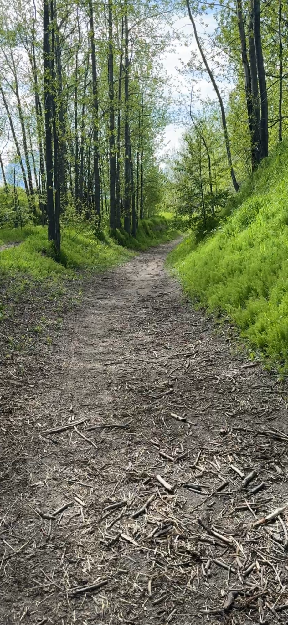Mat-Su Trail News: Summer 2026