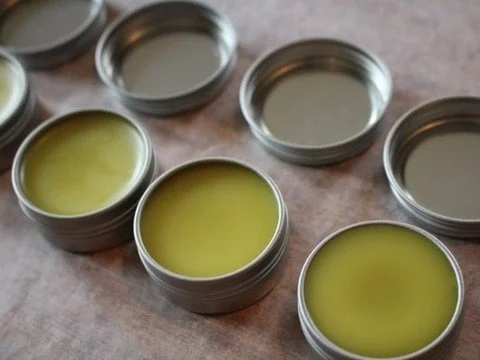 ⭐Sign up today!⁠
⁠
Devils Club Salve Making: An Outdoor Workshop⁠
Saturday, July 11⁠
⁠
👉Registration required👈⁠
⁠
This outdoor workshop provides insight into plant identification, plus methods and ethics of foraging. Learn the basics of salve-makin