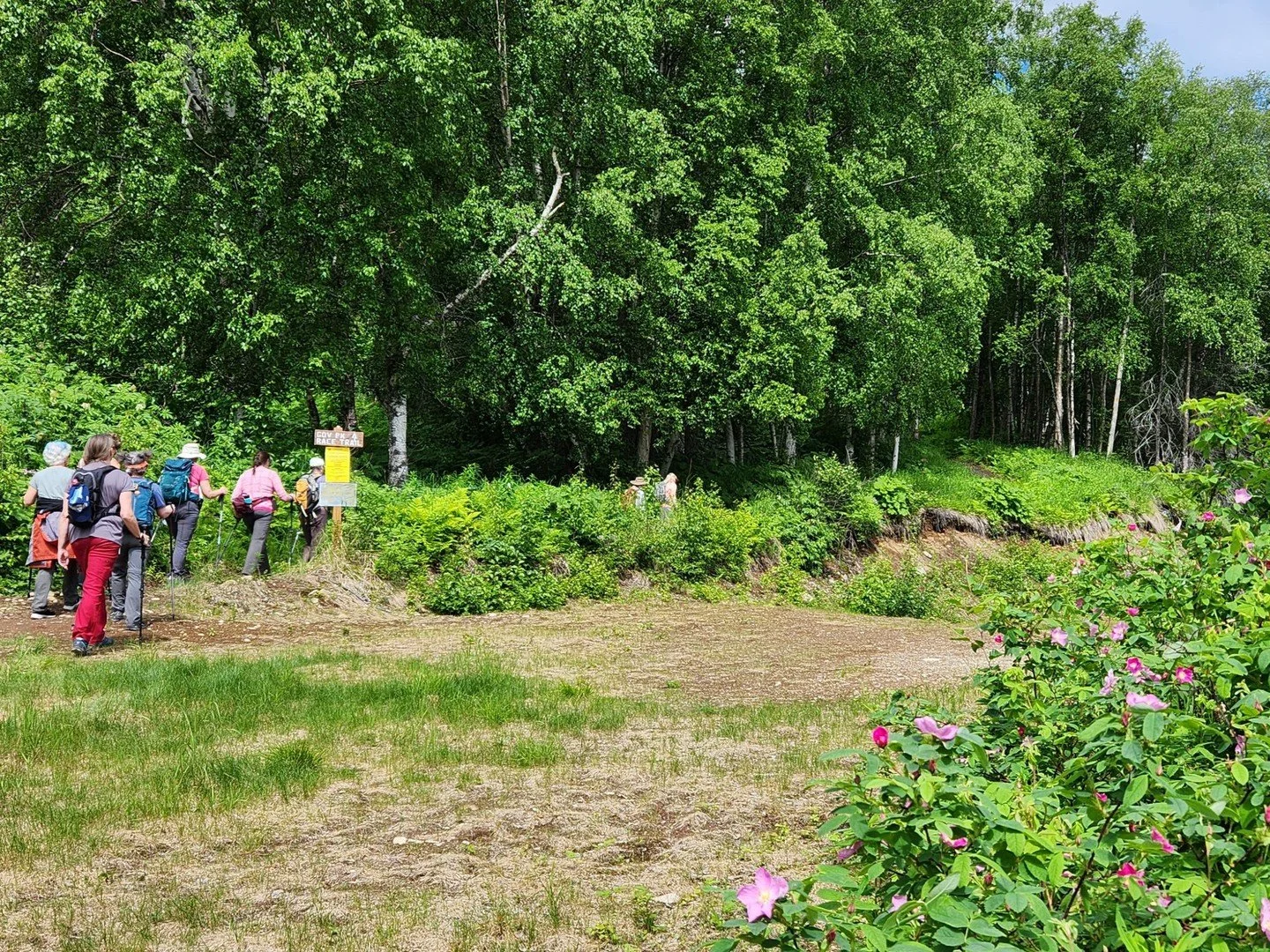 🚶&zwj;♂️🚶&zwj;♀️Are you 50-ish or over? Do you like a leisurely-paced hike? Then this is the adventure for you! ⁠
⁠
👉Registration required👈⁠
⁠
✔50ish and Over Hike: GPRA⁠
✔Tuesday, July 21⁠
✔Hike on grassy ski trails⁠
✔Gently rolling terrain⁠
✔St