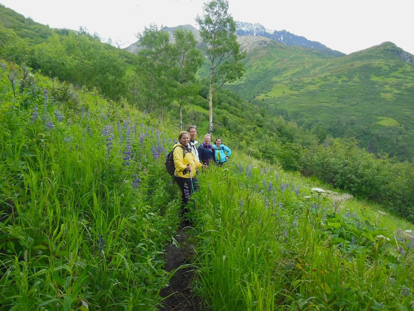 🥾FREE Community Hike: Lazy Moose Trail🥾⁠
Saturday, July 25⁠
⁠
✔Registration required✔⁠
⁠
~Switchbacks through beautiful mixed forest⁠
~Wildflowers⁠
~Sweeping views of the Matanuska Valley⁠
⁠
Details and sign-up: reveltreksandtours.com/events⁠