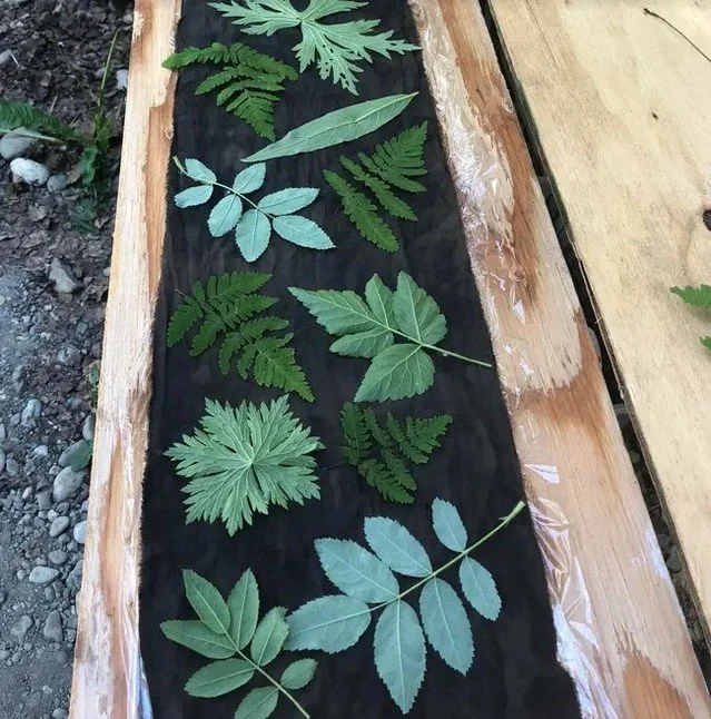 Sign up today! ⁠
⁠
🌿Leaf Printing on Silk Workshop⁠
🌿Sunday, July 19⁠
⁠
👉Registration required👈⁠
⁠
Capture Alaska's growing season on an 8"x54" silk scarf! Choose a plain or naturally-dyed background color, then arrange fresh leaves ove