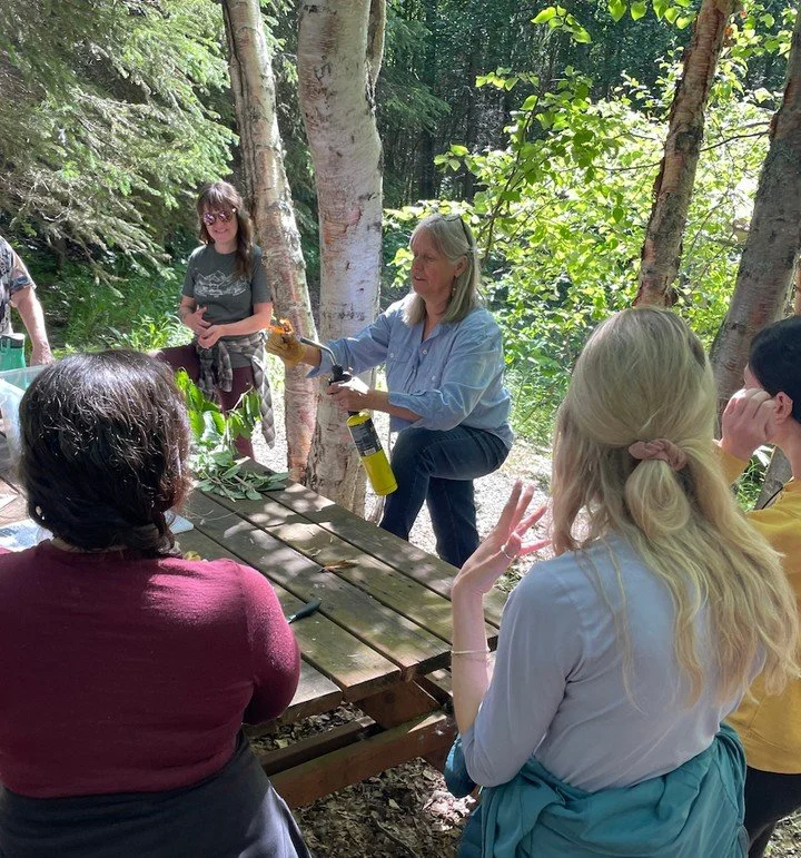 🖐🏾Learn how to make devil's club salve with naturalist Ute Olsson at this July 11 outdoor workshop!⁠
⁠
🌵Short walk and plant i.d.⁠
🌵All supplies and instruction provided⁠
🌵Take home a 2 oz container of devil's club salve⁠
⁠
👉Registration requir