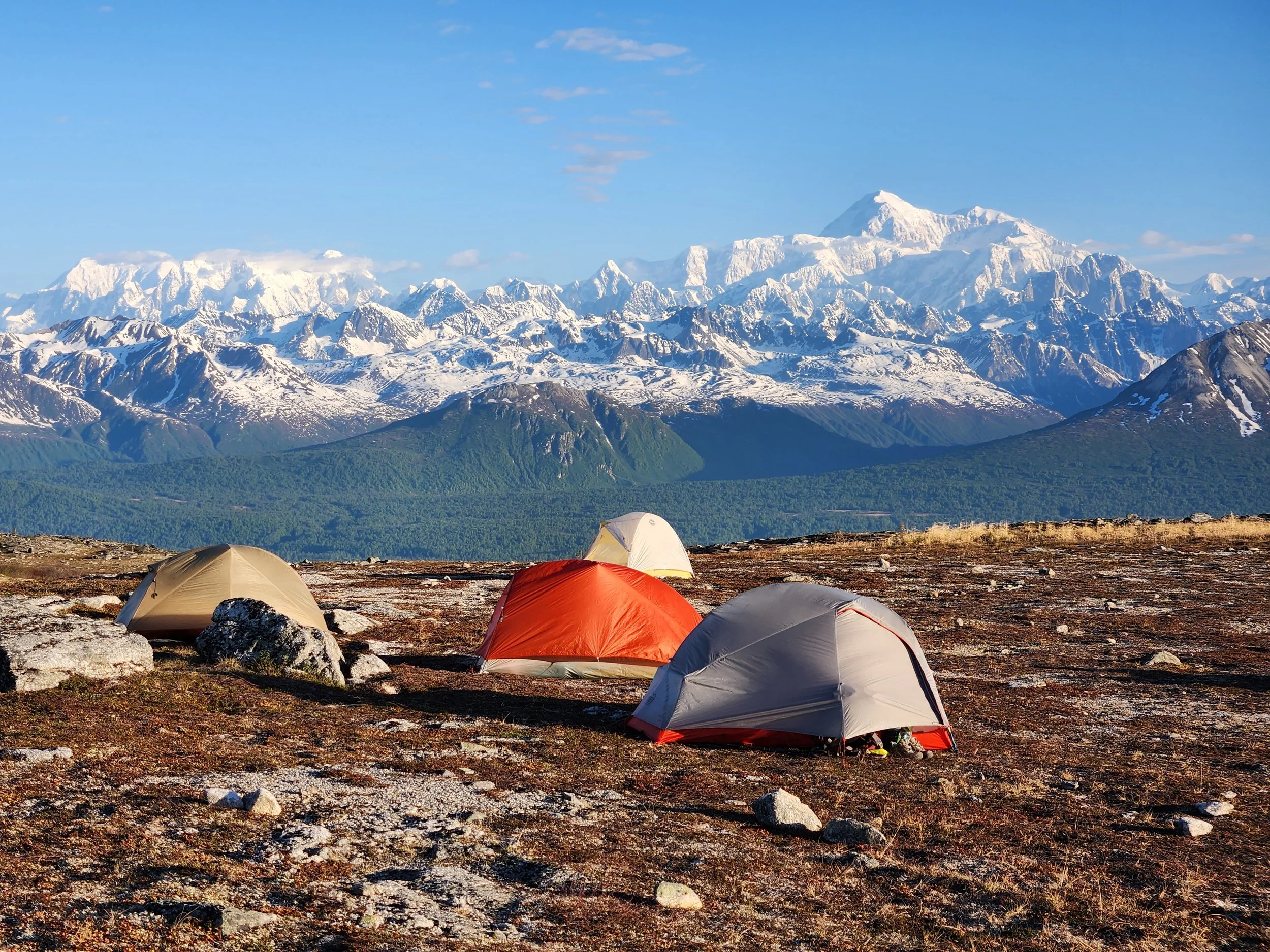 Denali State Park: Visit this Scenic Playground for the Day or Stay for a Week