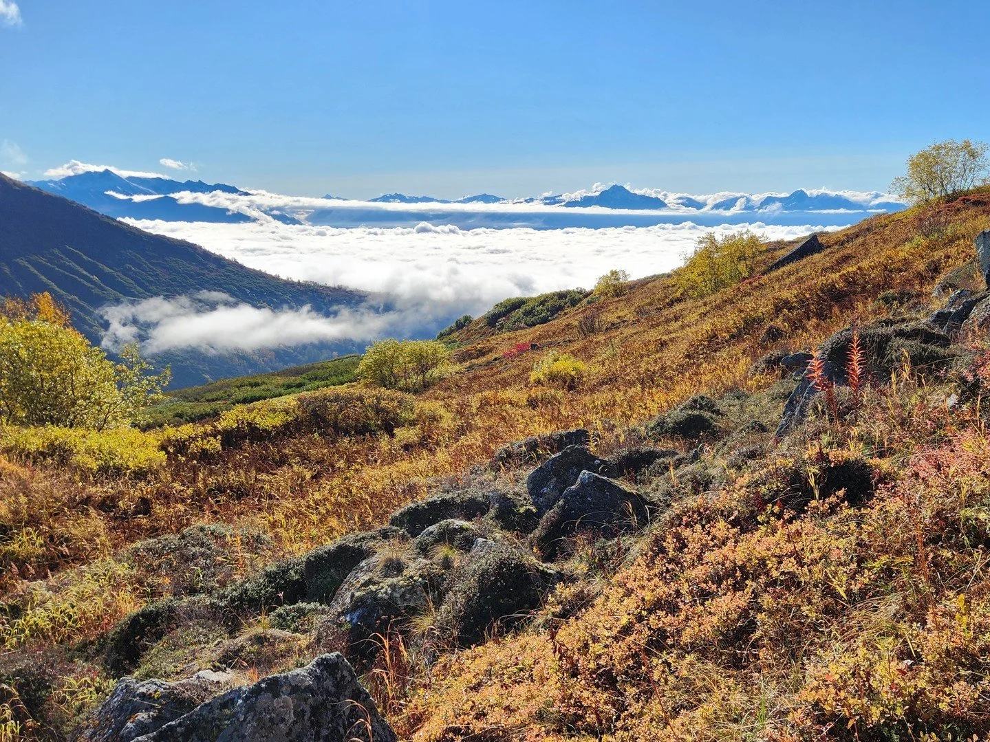 🏔Third Saturday Adventure: Frostbite Ridge, Skeetawk⁠
Saturday, Aug. 29⁠
⁠
🥾 Mileage: About 5 miles⁠
🥾 Elevation Gain: About 2,500 feet⁠
🥾 Hiking Time: About 5 hours⁠
🥾 Challenging for most hikers⁠
⁠
This steep climb up to and along the Frostbit