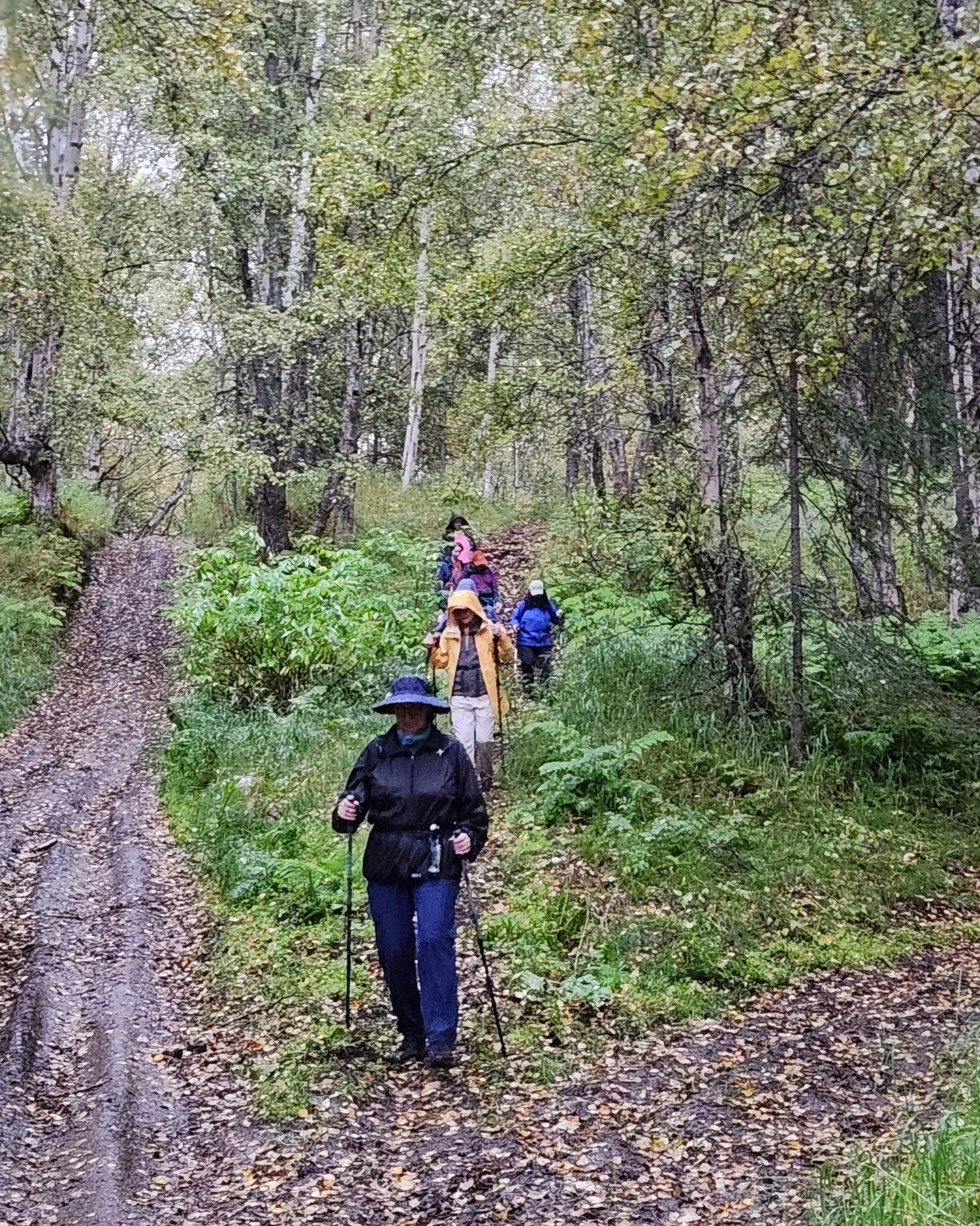 🚶&zwj;♀️&zwj;➡️🚶&zwj;♀️&zwj;➡️🚶&zwj;♀️&zwj;➡️Third Saturday Adventure: Hike Wolverine Creek Trail⁠
Sat. Sept 19⁠
⁠
🥾 Mileage: About 6.5 miles⁠
🥾 Elevation Gain: About 2,800 feet⁠
🥾 Hiking Time: All day (up to 8 hours)⁠
🥾 Moderate for most hike
