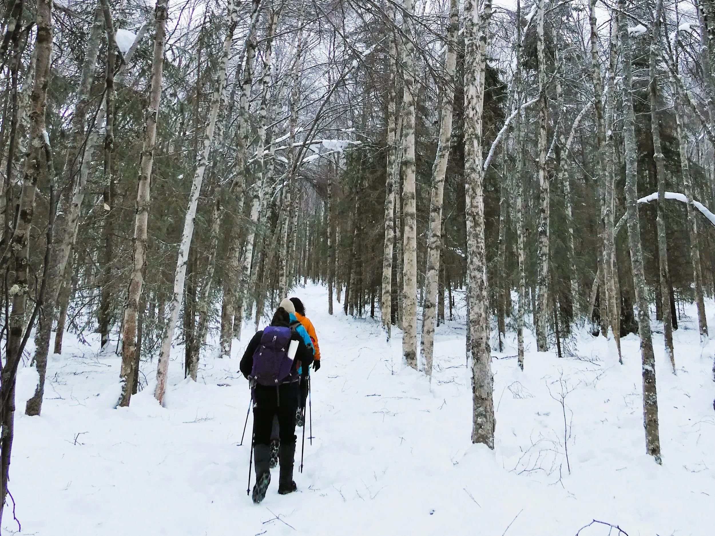 Hikers in Eagle River Valley