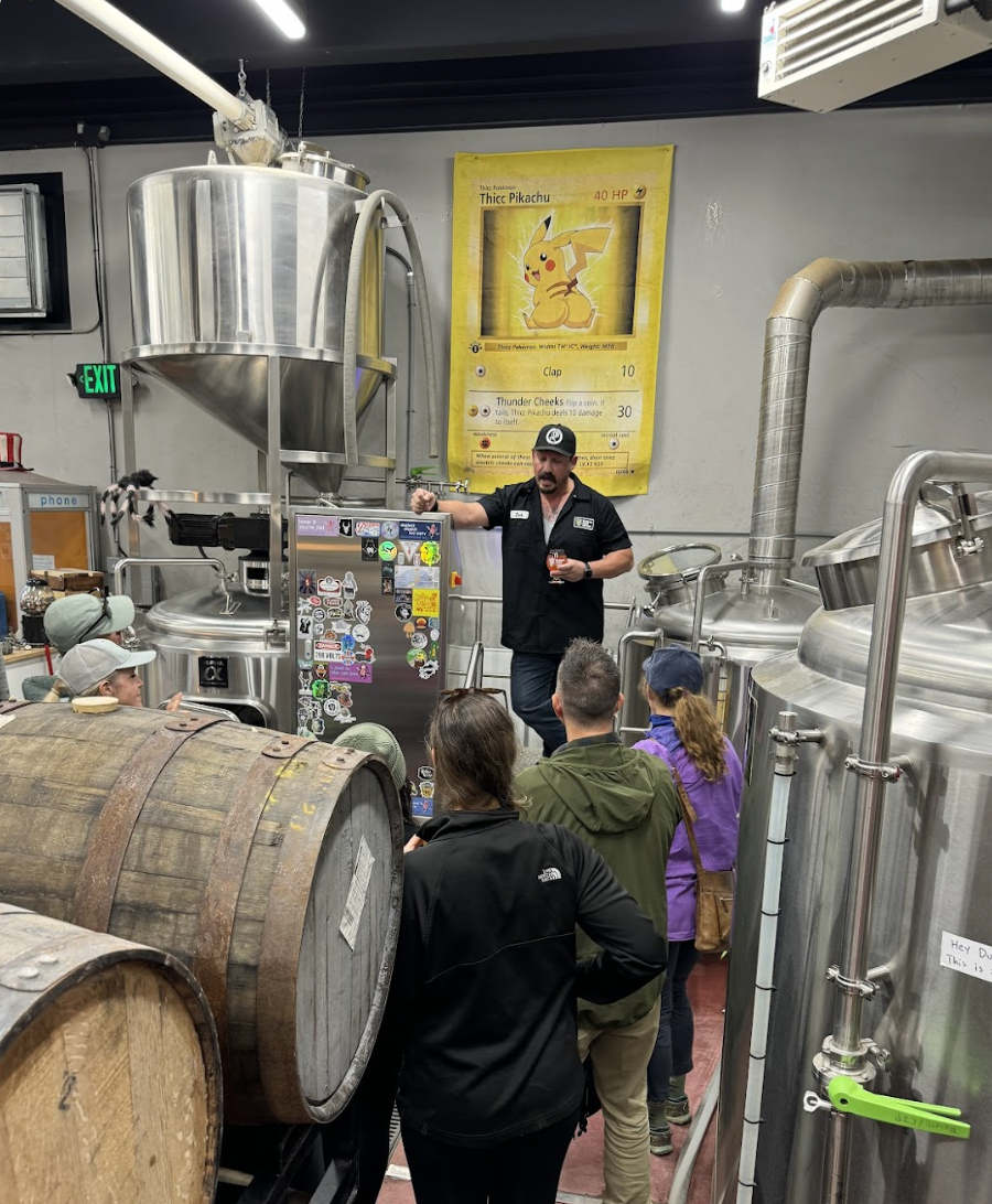 Views from Denali State Park - Byers Lake and the Alaska Range in the distance