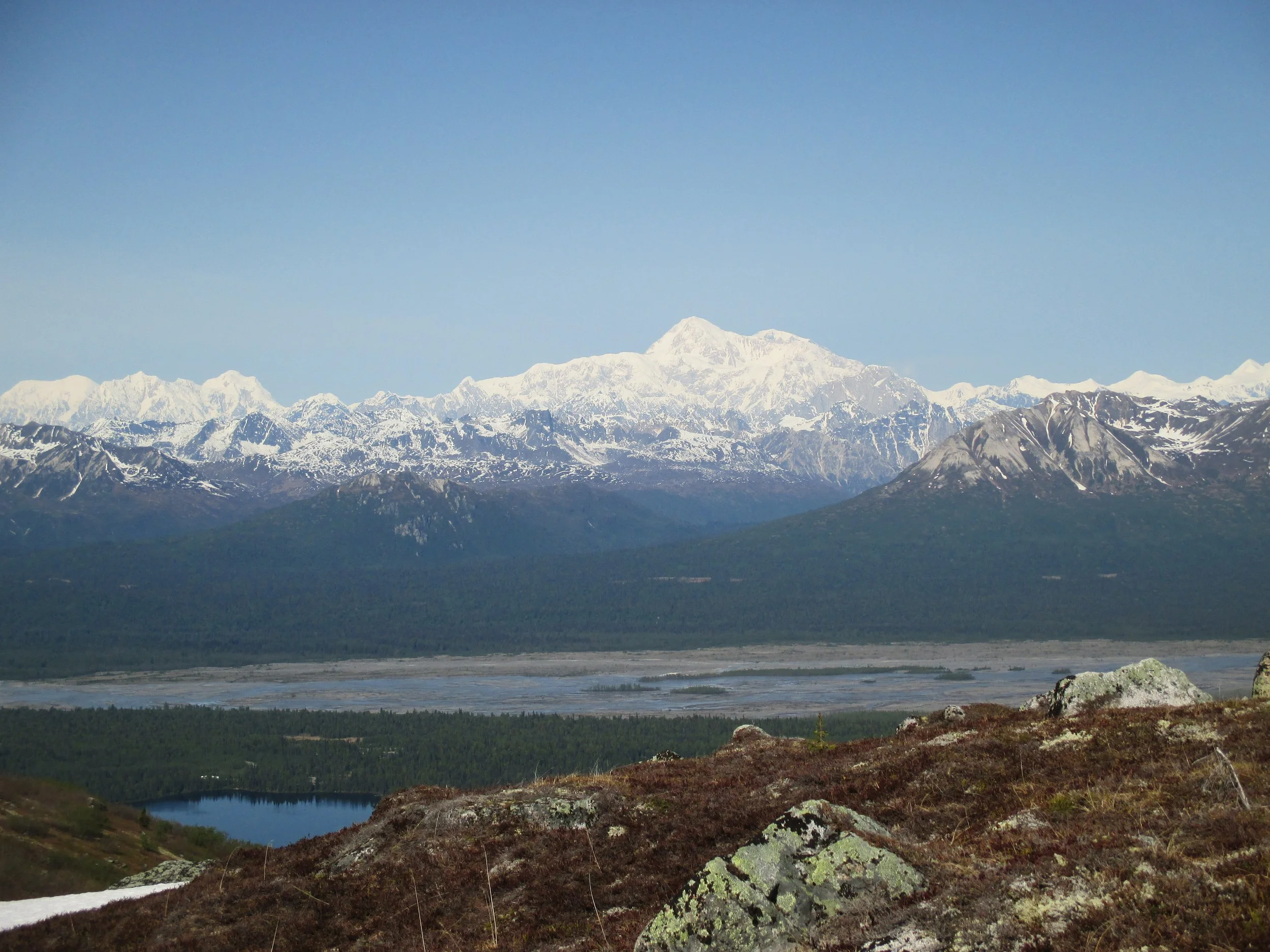 View of Denali from Denali State Park north of Talkeetna
