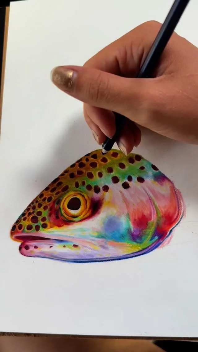 Rainbow Trout
*
*
*
#rainbowtrouts #rainbow #fish #ocean #river #coloredpencildrawing #artwork #outdoors #iridescence #freshwater
