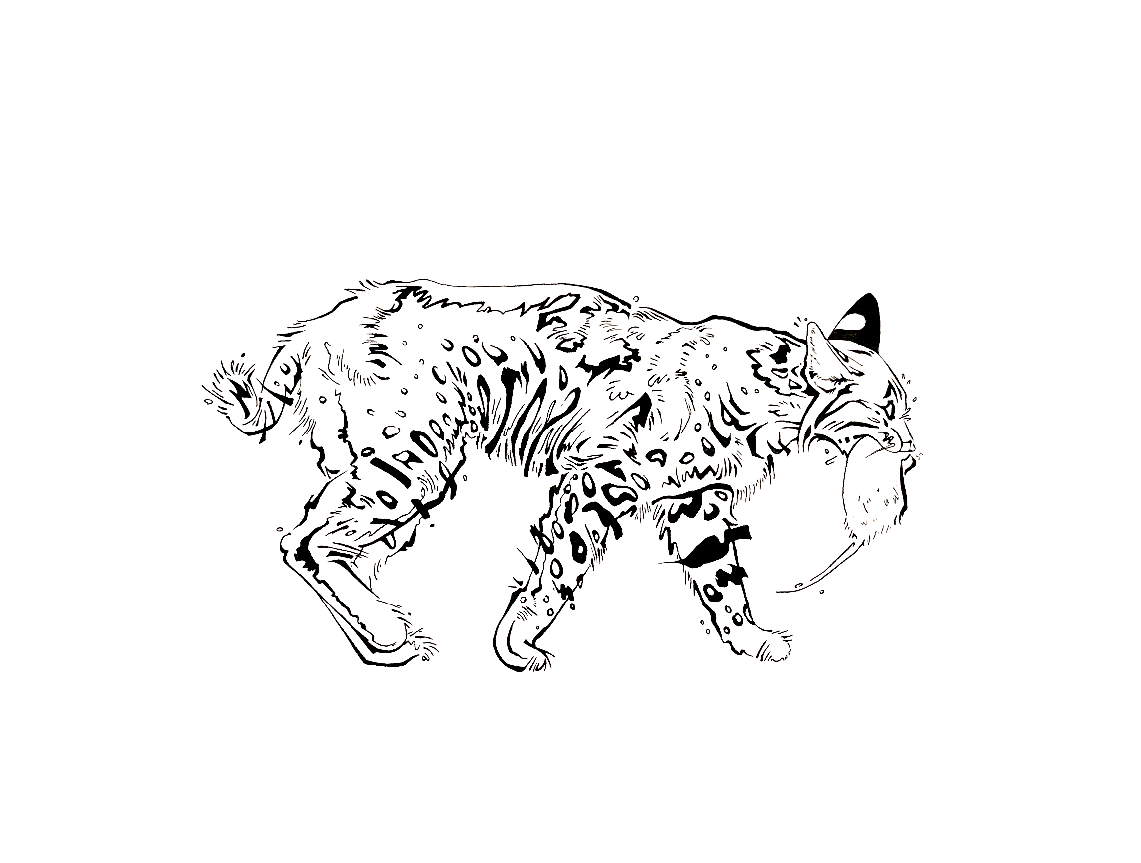 mew3.png