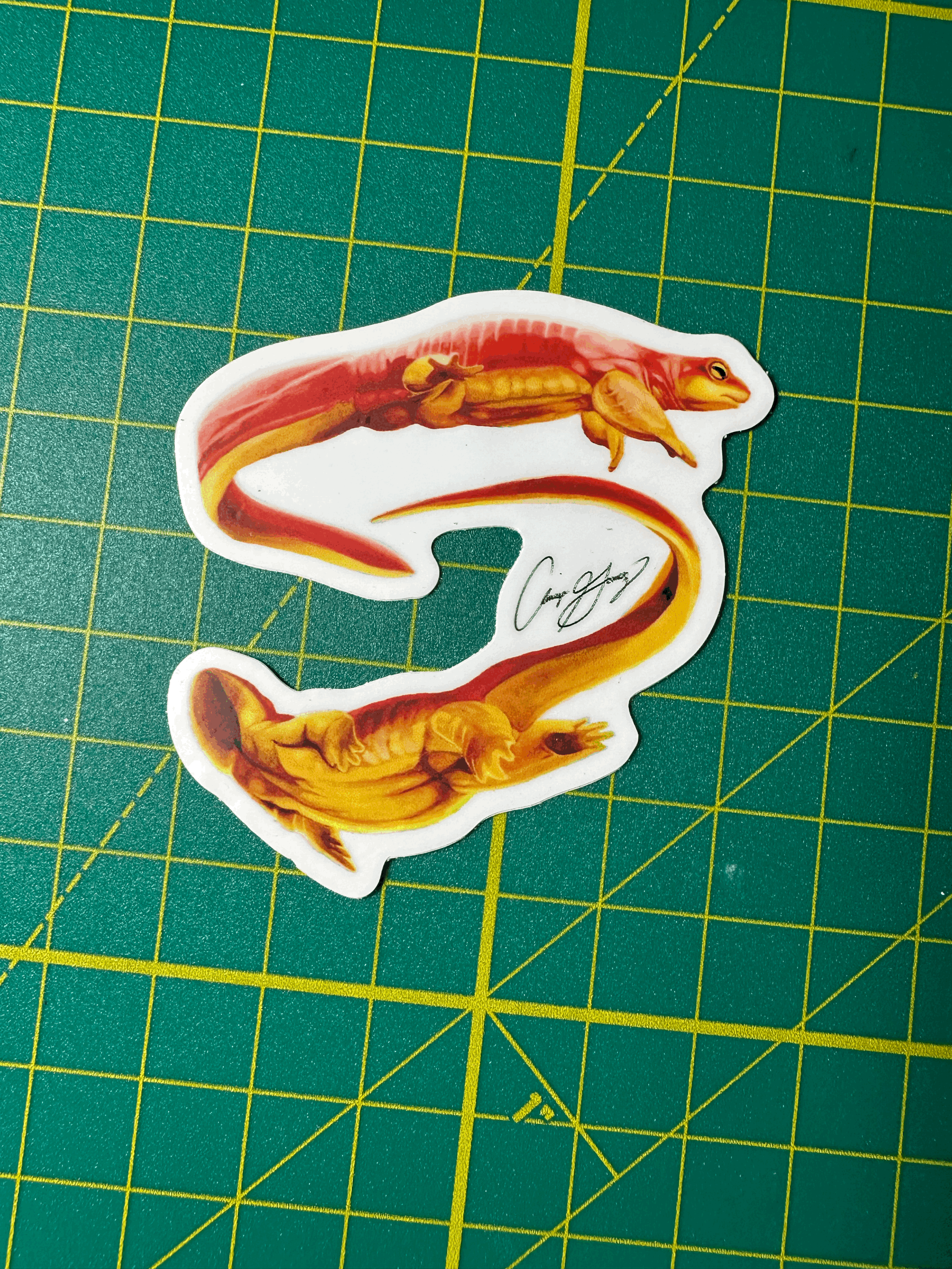 Newt Sticker