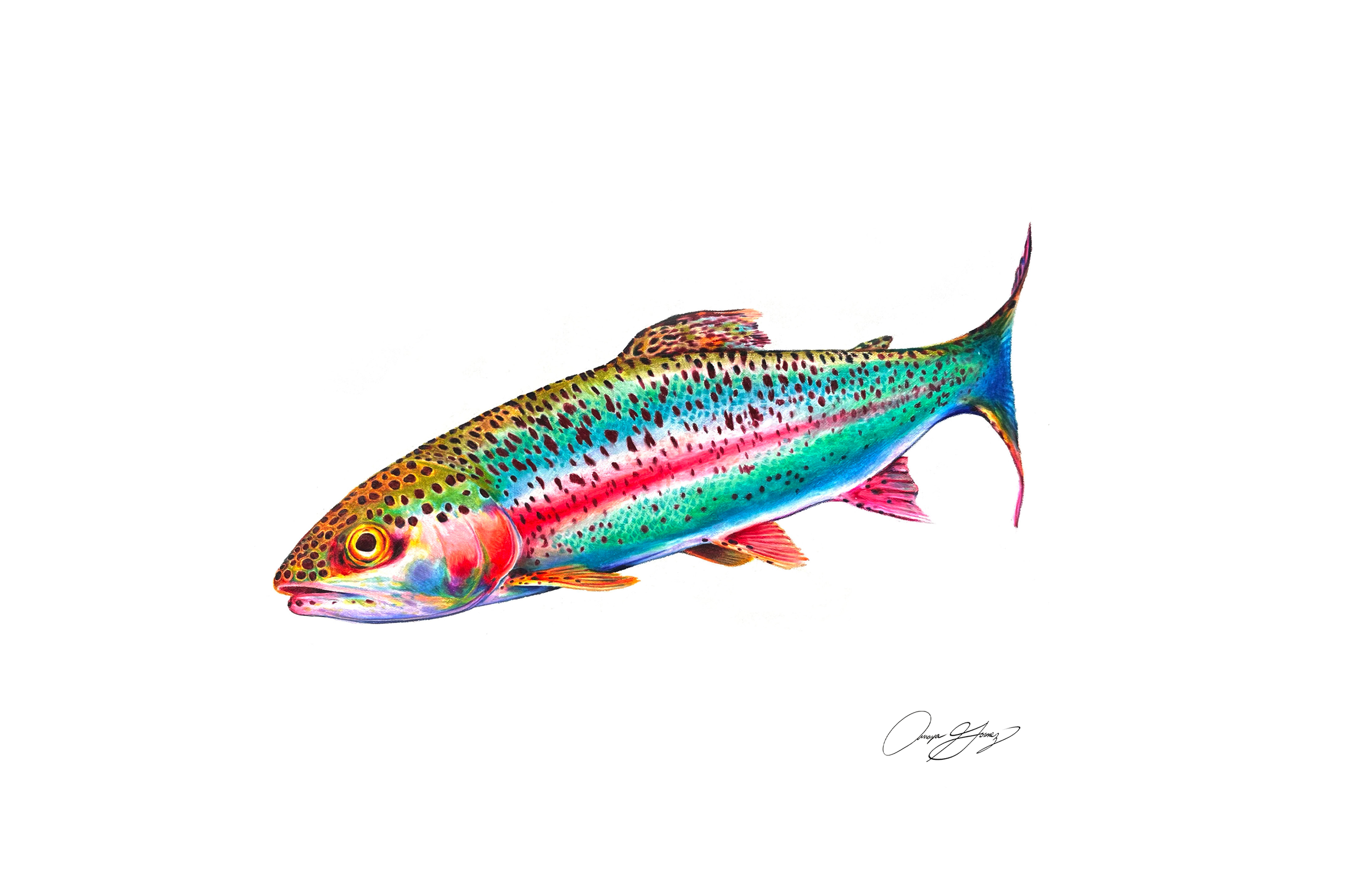 Finaltrout2.png