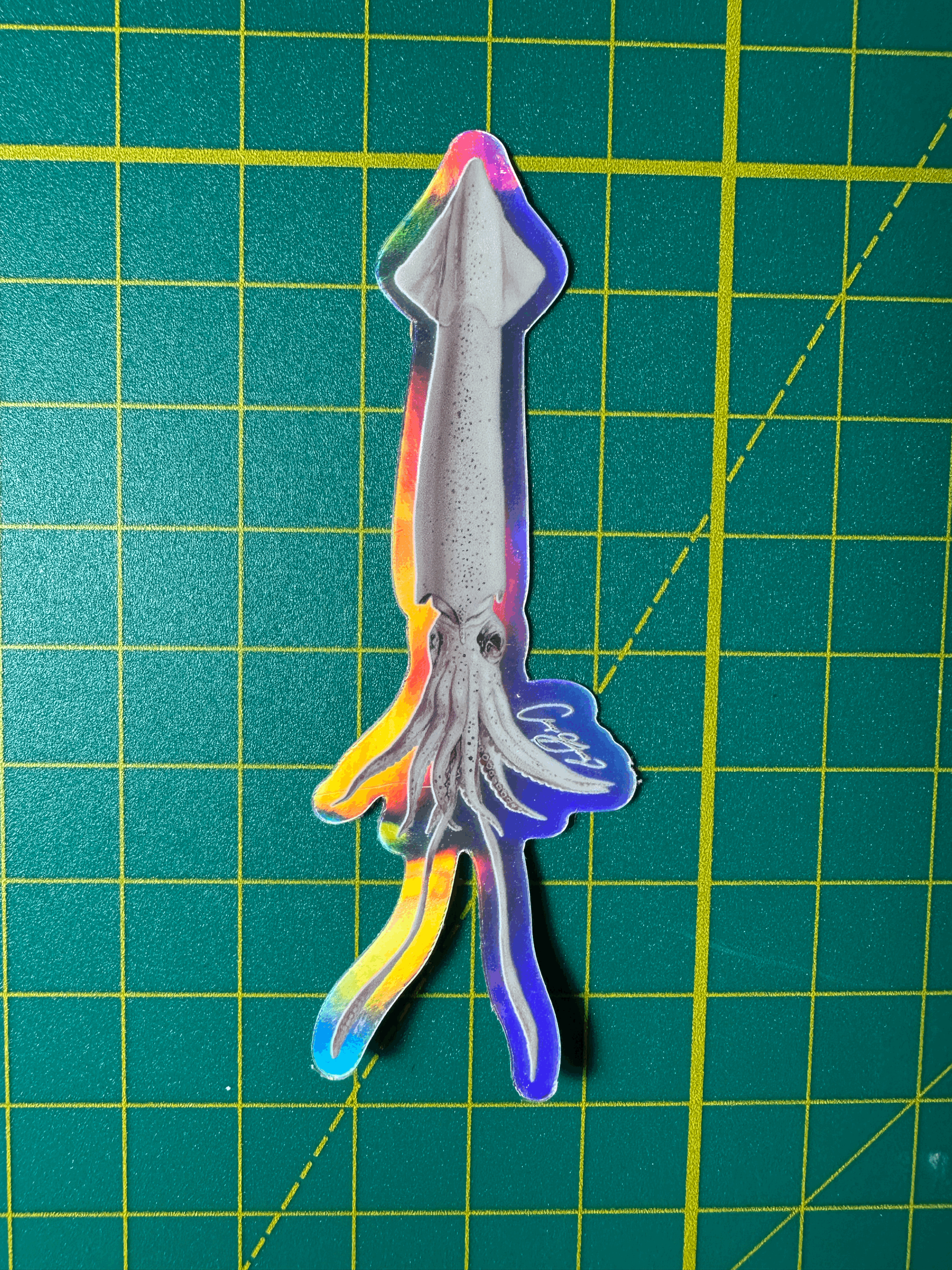 Market Squid Sticker