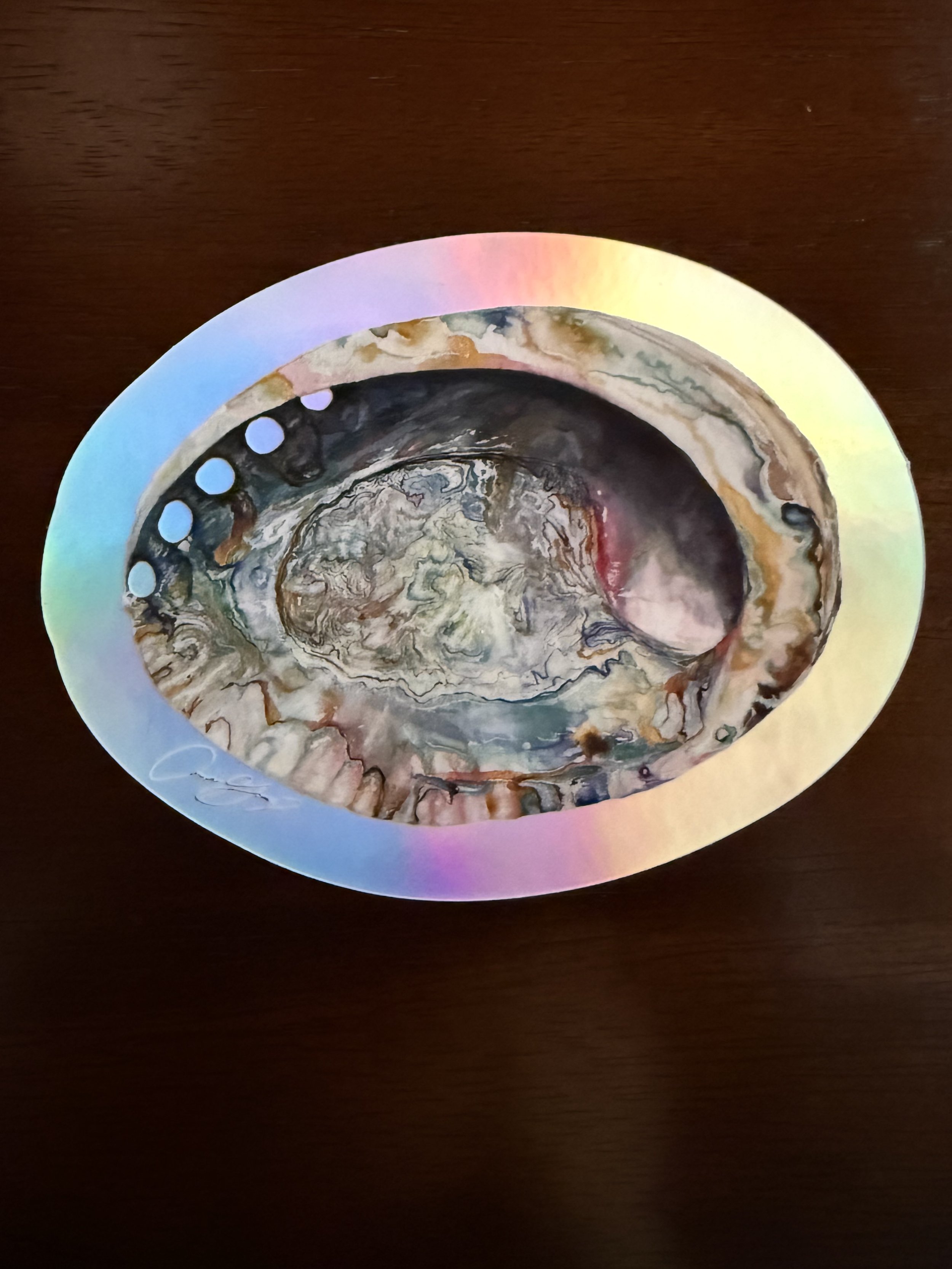 Abalone Sticker Large