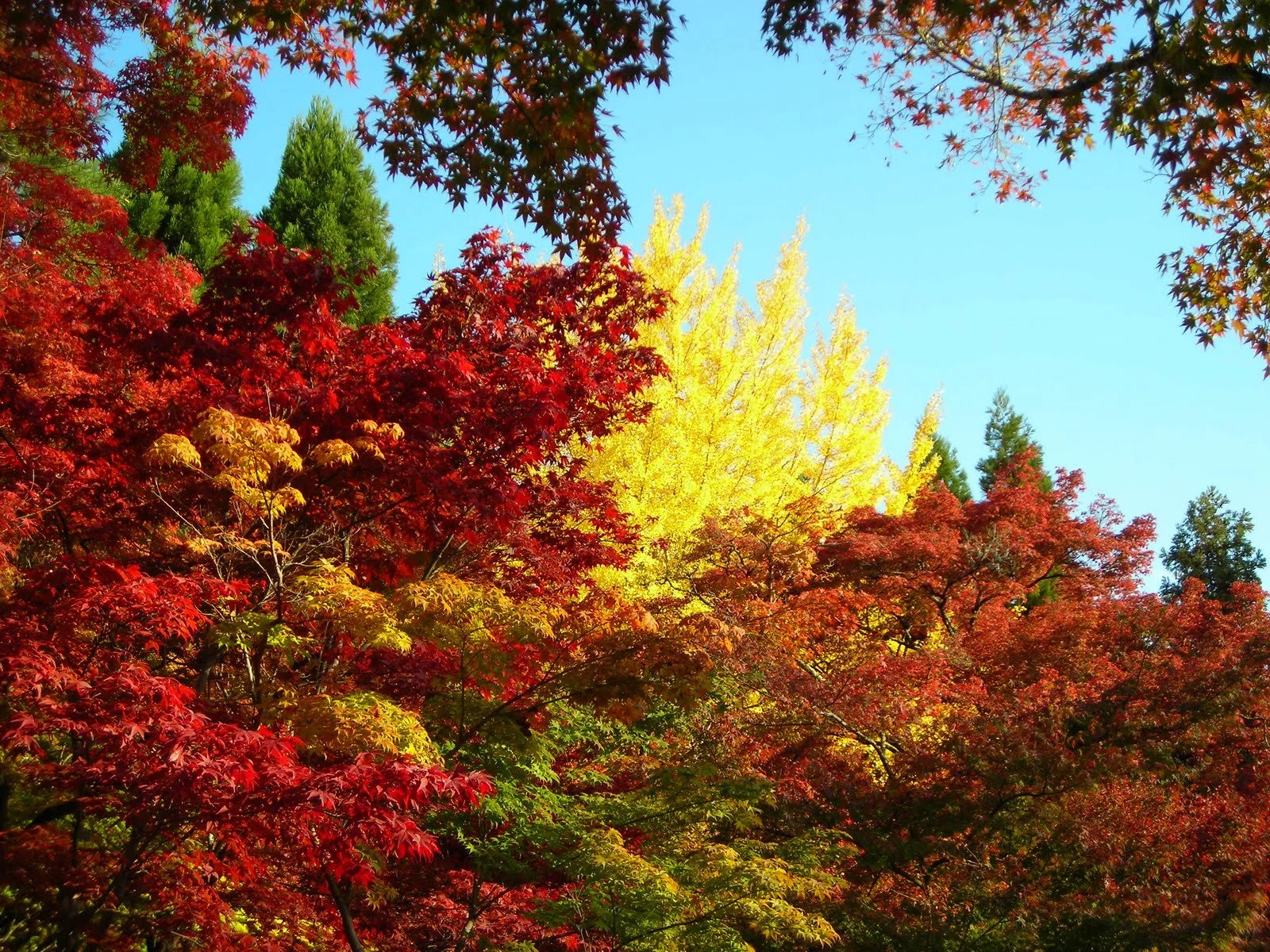 Just the tip of the photo iceberg