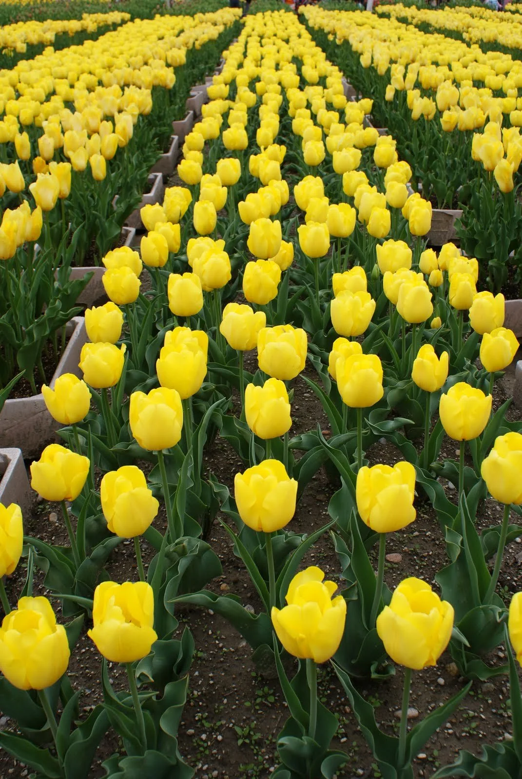 A break from the usual