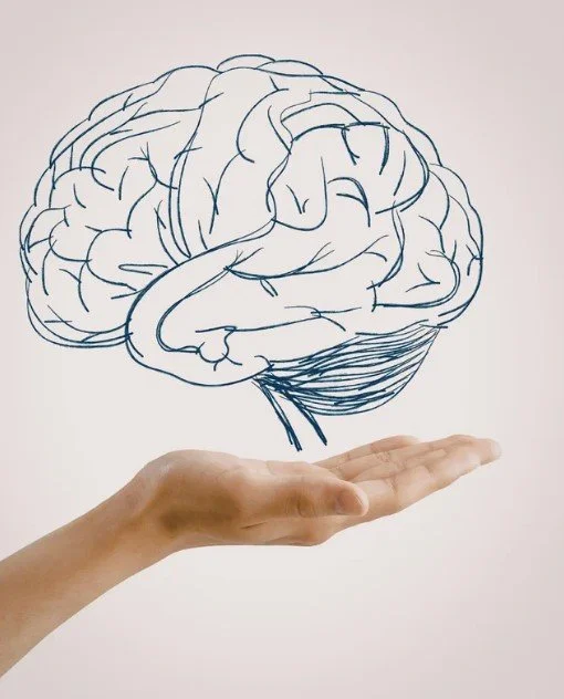 Occupational Therapy for ADHD Executive Dysfunction: How Neurodiversity-Affirming OT Can Help Adults
