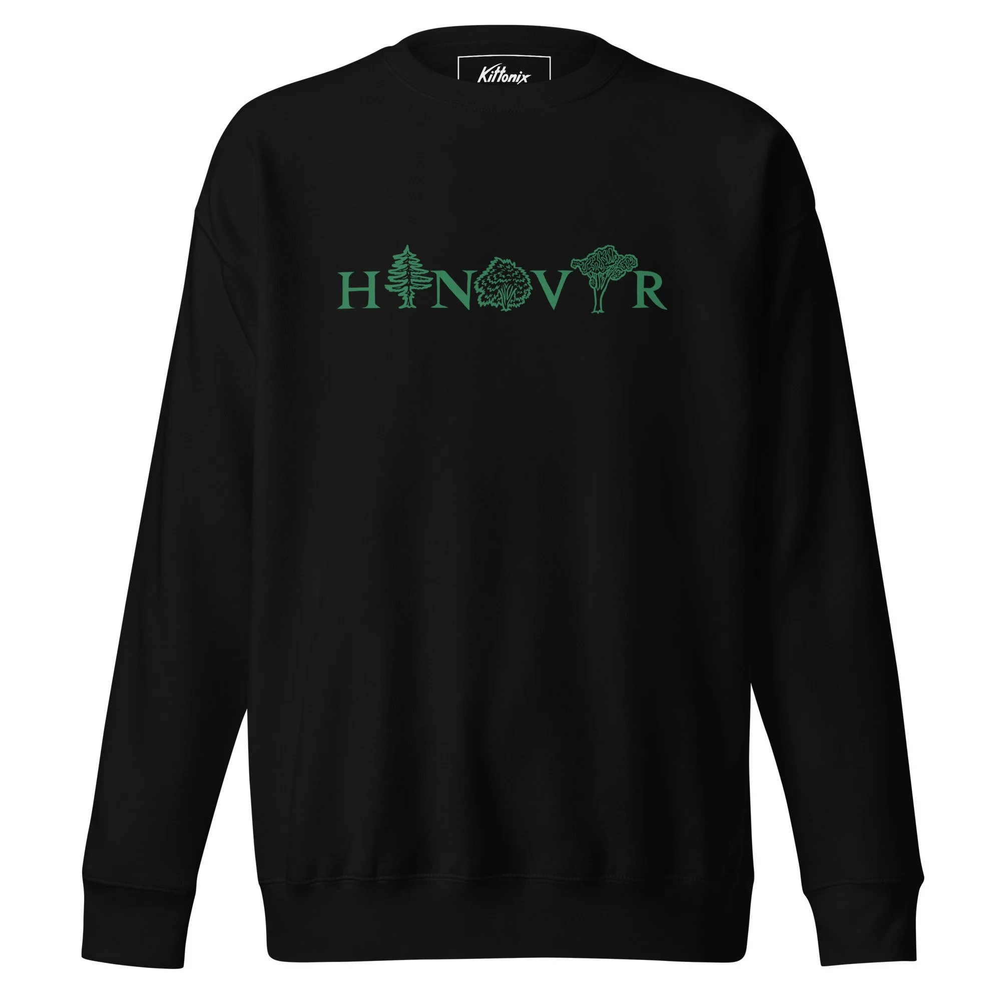 unisex-premium-sweatshirt-black-front-68853189a2123.jpg