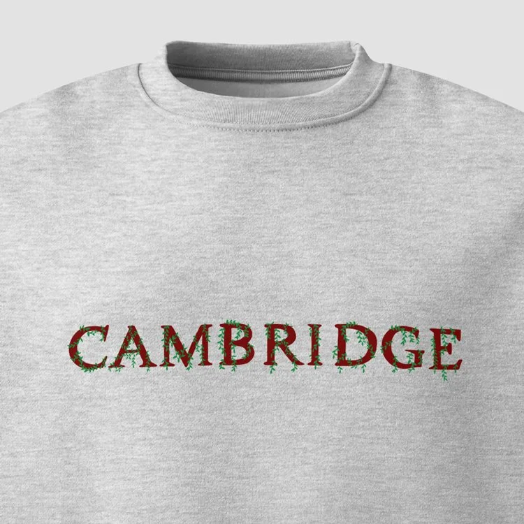 cambridge-oversized-heavyweight-sweatshirt2.jpg