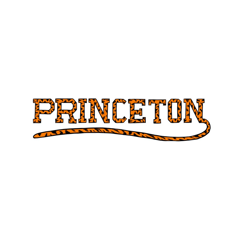 princeton.jpg