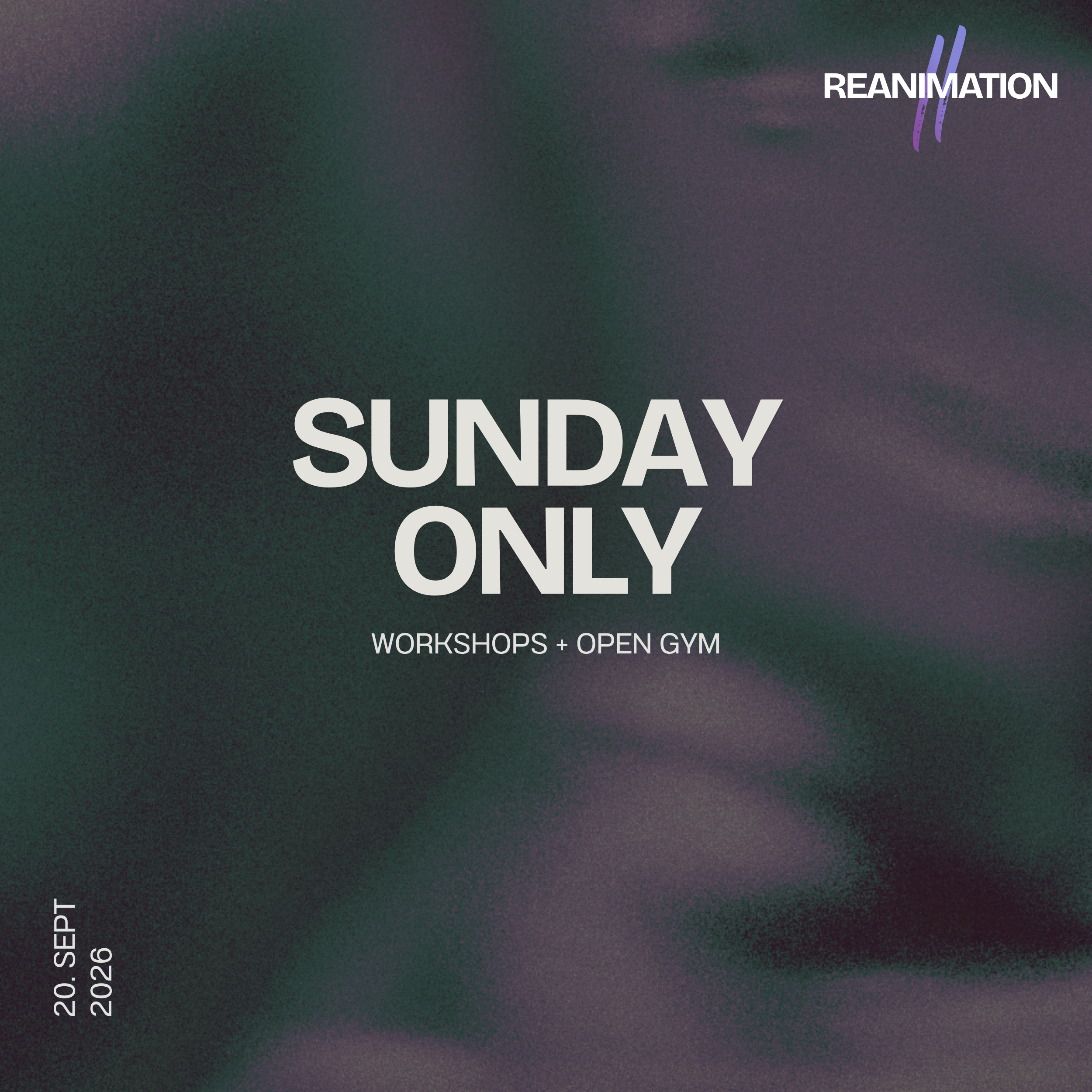 Sunday Only - Gathering Ticket