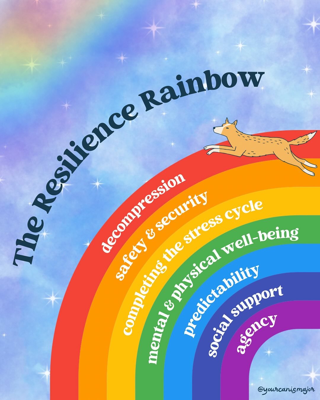 This week, our pilot round students are going to deep dive strategies for building resilience. Resilience is the capacity an animal has to adapt to change and to bounce back from stressful experiences. We really like this framework by the IAABC, know