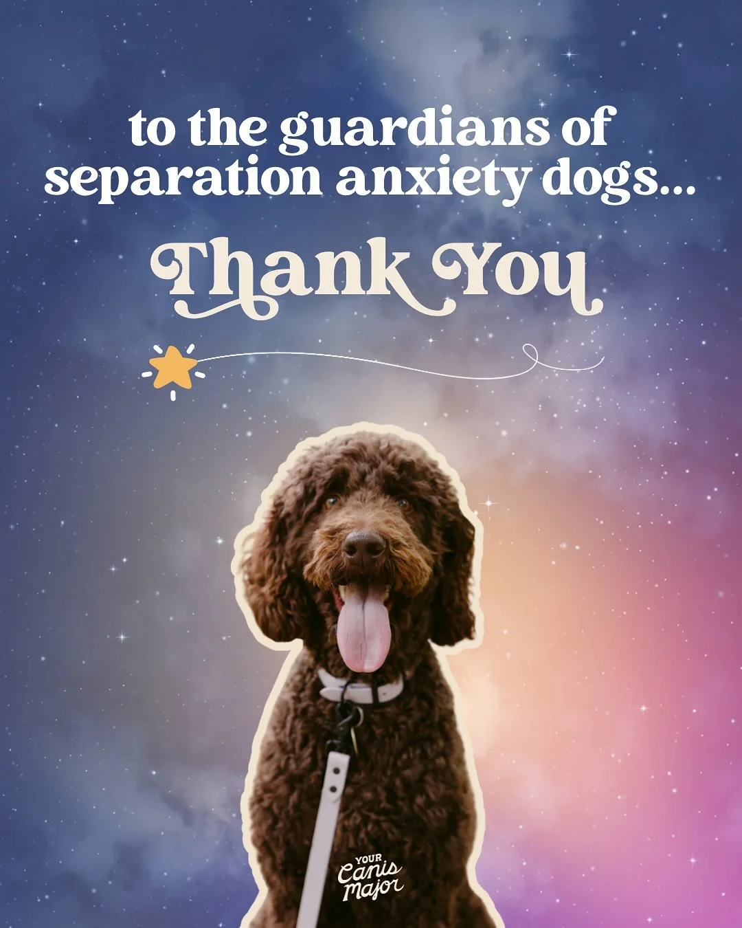 Thank you, so much, to all of you. Your dogs are lucky to have you.

#separationanxietydog #separationanxietyindogs
